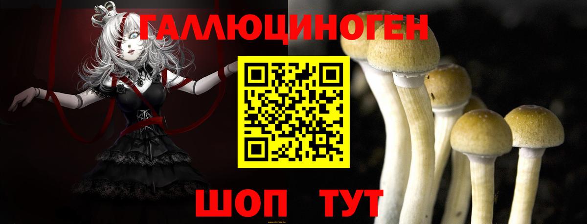 Псилоцибиновые грибы Cubensis Петрозаводск